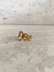 Chain Ring