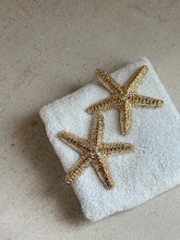 Load image into Gallery viewer, Starfish