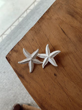 Load image into Gallery viewer, Starfish