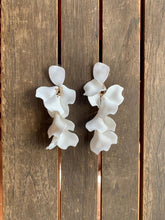 Load image into Gallery viewer, Cascade Earrings