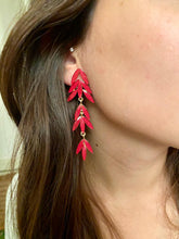 Load image into Gallery viewer, Redness Flow Earrings